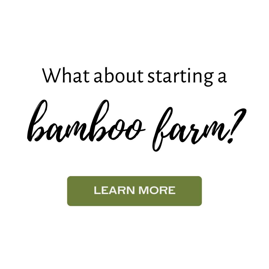 Bamboo sideline farm