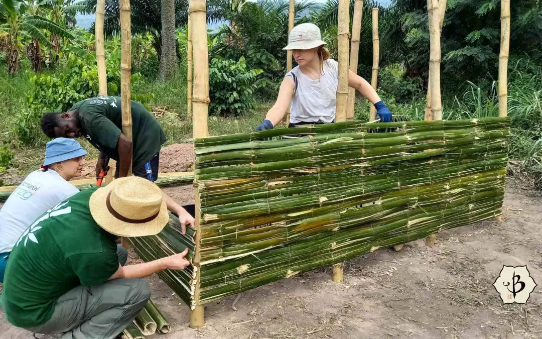 Bamboo Ghana building with ABC