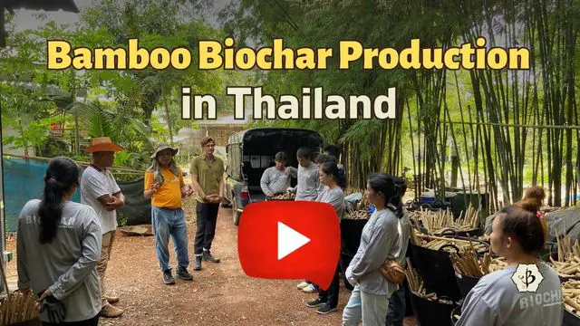 Bamboo Biochar Thai YT